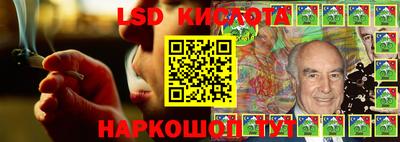 ГАЛЛЮЦИНОГЕННЫЕ ГРИБЫ Сланцы