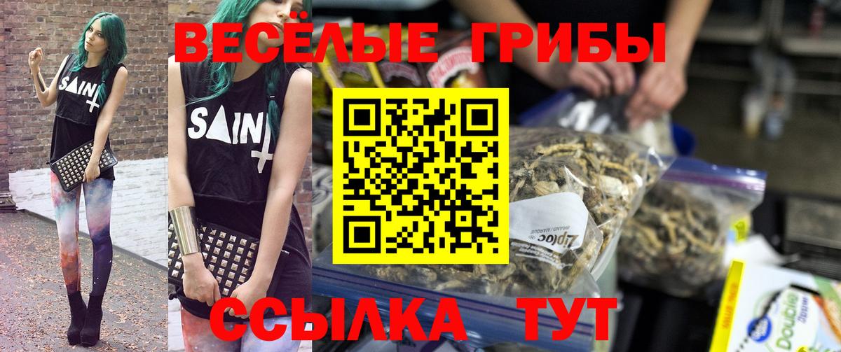 Сальск  Галлюциногенные грибы ЛСД  Вход с VPN 