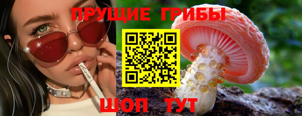 Галлюциногенные грибы прущие грибы Сальск